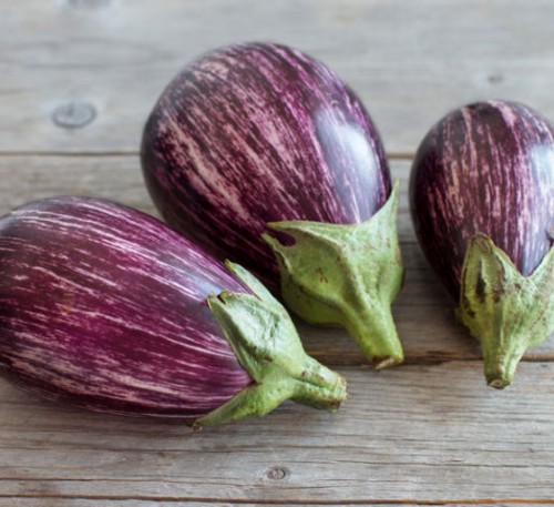 Eggplant Aubergine Sailor 
